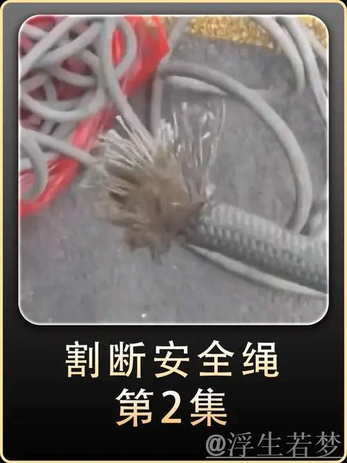 惊险脱险!空中伞绳遭刀割化解危机 惊险脱险!空中伞绳遭刀割化解危机